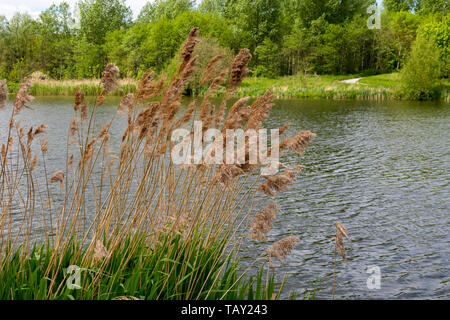 Senso valle valle di rilevamento LEICESTERSHIRE REGNO UNITO Foto Stock