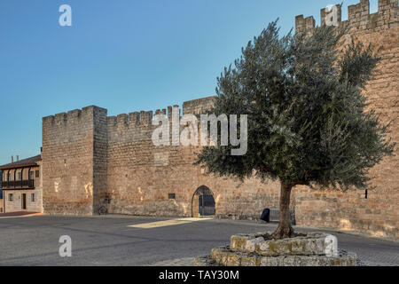 Fortificata medievale palazzo di Don Diego Lopez de Zuñiga, Curiel de Duero in provincia di Valladolid, Castilla y Leon, Spagna, Europa Foto Stock