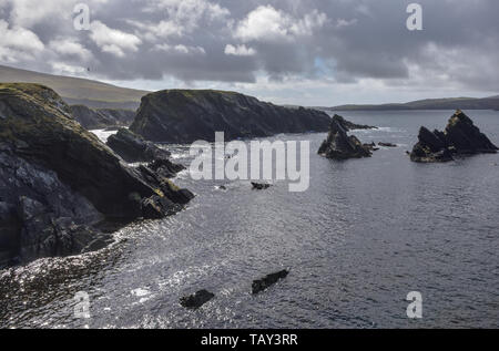 Le scogliere su san Ninian's Isle, Shetland, Scotland, Regno Unito Foto Stock