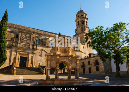 Catedral de la Natividad de Nuestra Señora. Lo stile rinascimentale Cattedrale e fontana di Santa Maria. Baeza, provincia di Jaén. southern Andalusia. Spagna e Foto Stock