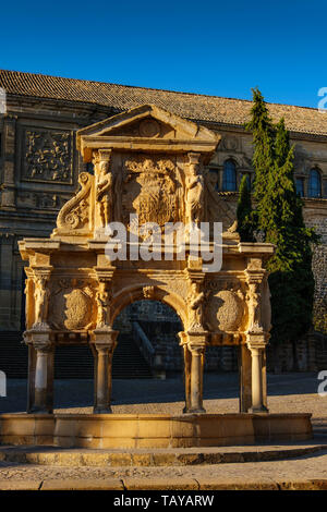 Catedral de la Natividad de Nuestra Señora. Lo stile rinascimentale Cattedrale e fontana di Santa Maria. Baeza, provincia di Jaén. southern Andalusia. Spagna e Foto Stock