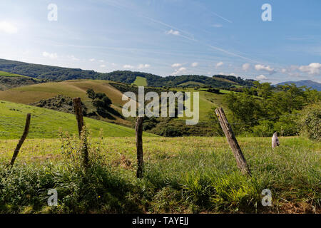 Pays Basque paesaggio, in estate, in una giornata di sole, vicino a Espelette in pyrénées montagne, Francia. Foto Stock