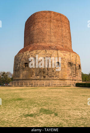 Dhamekh stupa di Sarnath vicino a Varanasi, India Foto Stock