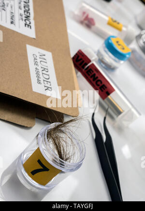 Laboratorio Criminalistic, analisi del capello, immagine concettuale Foto Stock