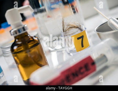 Laboratorio Criminalistic, analisi del capello, immagine concettuale Foto Stock