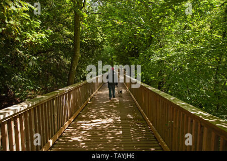 Viste e dalla Symonds Yat Rock, Gloucestershire, England, Regno Unito Foto Stock