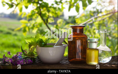Olio essenziale di fiori e di erbe naturali. Le erbe fresche - essenza biologica, olio essenziale. Foto Stock