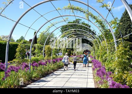 Il Royal Horticultural Society Gardens at Wisley Surrey su una soleggiata giornata d'estate Inghilterra REGNO UNITO Foto Stock