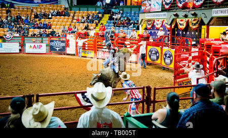 rodeo bull riding, evento sportivo estremo, braccio cowboy in aria come egli cerca di cavalcare grande toro, colosseo, Fort Worth, magazzini, Texas, USA, Foto Stock
