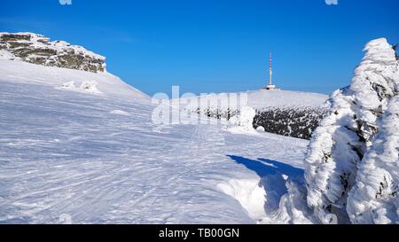 Sudetes orientale, Praded collina con torre di comunicazione in Jeseniky montagne, Repubblica Ceca Foto Stock