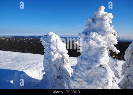 Sudetes orientale, Praded hill in Jeseniky montagne, Repubblica Ceca Foto Stock