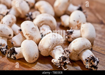 Crudo fresco champignon organico su un tavolo di legno dello sfondo. Foto Stock