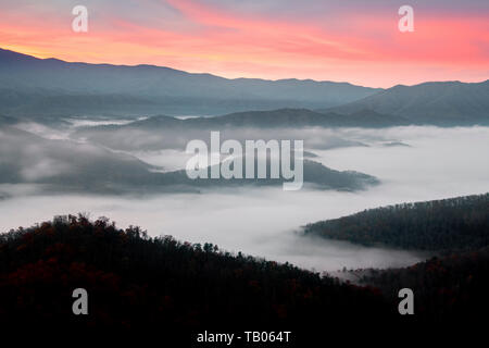 Sunrise e radiazione nebbia, Great Smoky Mountains National Park, TN, Stati Uniti d'America, da Bill Lea/Dembinsky Foto Assoc Foto Stock