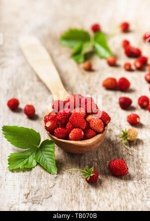 Dolci freschi fragole selvatiche in un cucchiaio di legno. Il dessert cibo sano. Foto Stock