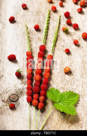 Fresche fragole selvatiche in tre lame di erba su una vecchia superficie di legno. Foto Stock