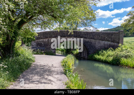 Ponte di pietra sul canale di Cromford su una soleggiata giornata d'estate,High Peak Junction,Matlock Derbyshire.Inghilterra Foto Stock