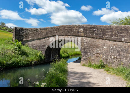 Ponte di pietra sul canale di Cromford su una soleggiata giornata d'estate,High Peak Junction,Matlock Derbyshire.Inghilterra Foto Stock