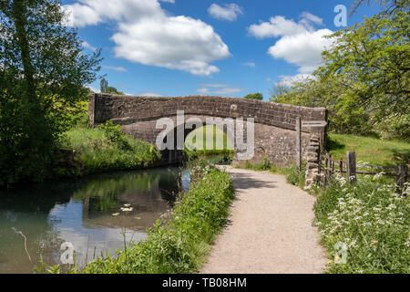 Ponte di pietra sul canale di Cromford su una soleggiata giornata d'estate,High Peak Junction,Matlock Derbyshire.Inghilterra Foto Stock