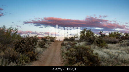 Deserto di strada sterrata risingTo nessun dove al tramonto in Arizona Foto Stock