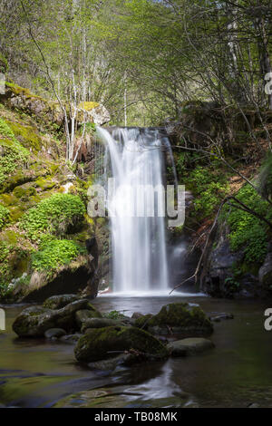 Basso in prospettiva di una montagna panoramica cascata in un vivido verde bosco alleggerire dal sole con rocce in primo piano Foto Stock