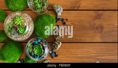 Composizione di florariums e pietre di muschio Foto Stock