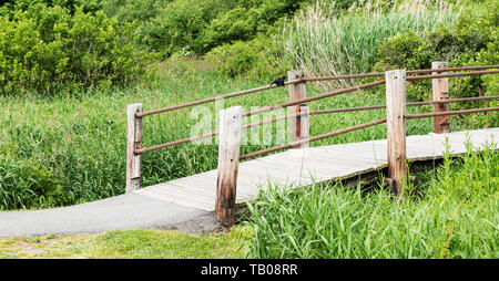 Un camminare/correre sentiero conduce ad un ponte di legno che un rosso nero alato uccello sta volando sopra. Foto Stock