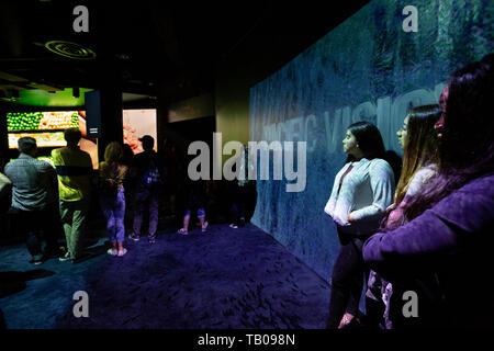 Visioni del Pacifico presso l'Aquarium del Pacifico, Long Beach, CA, Stati Uniti d'America Foto Stock