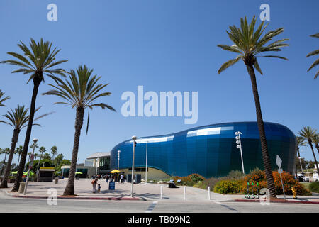 Visioni del Pacifico presso l'Aquarium del Pacifico, Long Beach, CA, Stati Uniti d'America Foto Stock