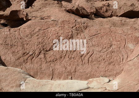 Roccia preistorica arte, PETROGLIFI YERBAS A BUENOS, Atacama, Cile. Foto Stock