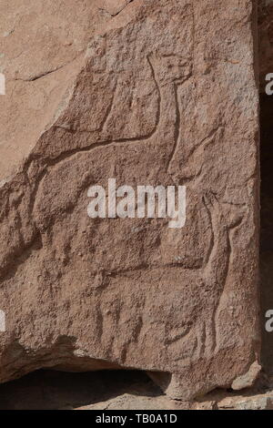 Roccia preistorica arte, PETROGLIFI YERBAS A BUENOS, Atacama, Cile. Foto Stock