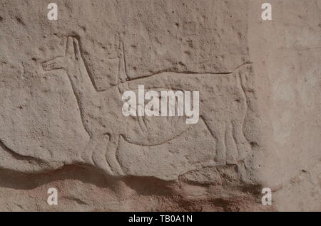 Roccia preistorica arte, PETROGLIFI YERBAS A BUENOS, Atacama, Cile. Foto Stock