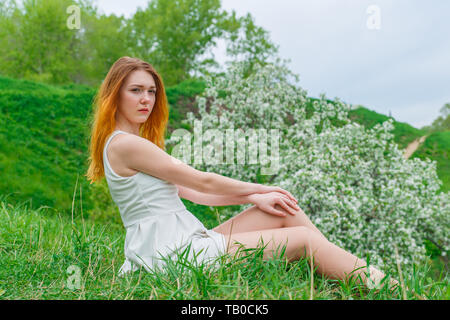 La i Capelli rossi ragazza in un abito bianco seduto su erba verde sullo sfondo di una fioritura melo. Foto Stock