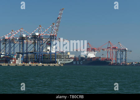 Porti globali, Durban, Sudafrica, gru che caricano il carico su due navi portacontainer in porto, trasporto, paesaggio, città, attività commerciale Foto Stock