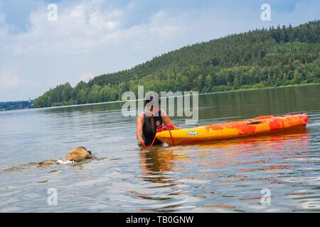 Leonberger è addestrato come acqua salvataggio cane Foto Stock