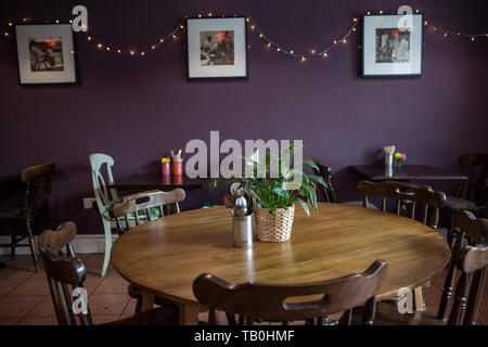 Amrutha Lounge, vegan food Earlsfield, a sud-ovest di Londra, England, Regno Unito Foto Stock