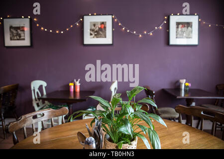 Amrutha Lounge, vegan food Earlsfield, a sud-ovest di Londra, England, Regno Unito Foto Stock