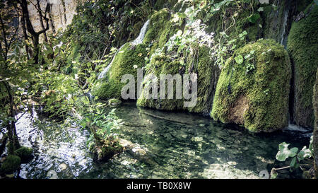Bella cascata lo streaming attraverso il Parco Nazionale dei Laghi di Plitvice in Croazia Foto Stock