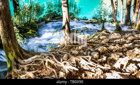 La cascata e il lago entro il colorato Parco Nazionale di Plitvice in Croazia Foto Stock