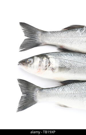 Gustoso branzino fresco pesce su sfondo bianco Foto Stock