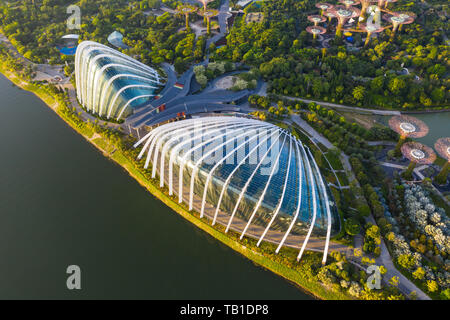 Le cupole architettoniche dei giardini sulla baia sono progettate da una prospettiva aerea al mattino, Singapore Foto Stock