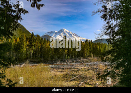 Fiume Nisqually & Mount Rainier, Mt Rainier NP, Washington Foto Stock