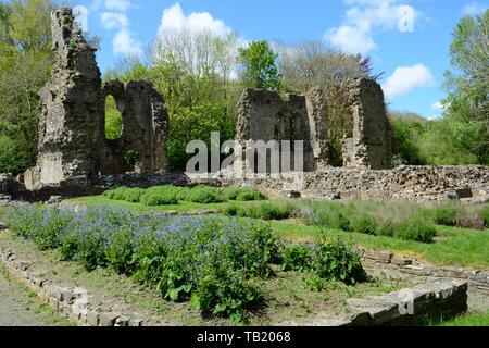 Haverfordwest Priory inizio XIII secolo convento agostiniano con il solo ecclesiastica rimanente giardino medievale in Gran Bretagna Pembrokeshire Wales UK Foto Stock