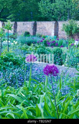 Paese di lingua inglese walled garden con splendida selezione di piante - immagine ritratto Foto Stock