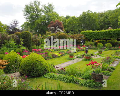 Chenies Manor sunken garden con topiaria da, percorso, Prato e laghetto ornamentale; un giardino a terrazze piene di colore al tulip time.Garden design in primavera. Foto Stock