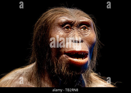 Lucia di Neanderthal-Cro Magnon faccia femmina isolato su nero Foto Stock