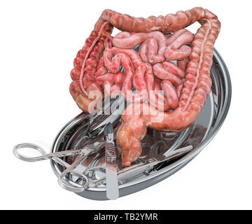 Intestino chirurgia del trapianto di concetto. Intestini di donatore nel vassoio metallico con strumenti chirurgici, rendering 3D Foto Stock