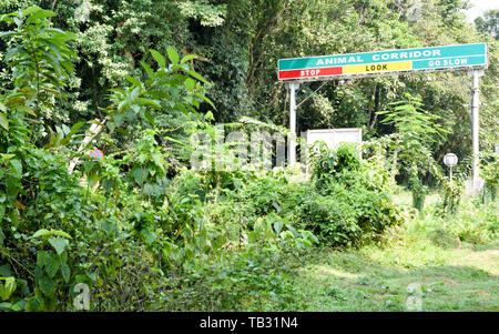 Post direzionale di Neora Valley National Park, Dunga Hill Camp, area Nordest dell India Suntalekhola, Samsing. Esso offre vista senza ostacoli del molto bello Foto Stock