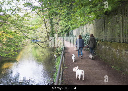 dh Riverside City Walk WATER OF LEITH EDINBURGH persone a piedi cani lungo il sentiero del fiume passeggiate uk Foto Stock