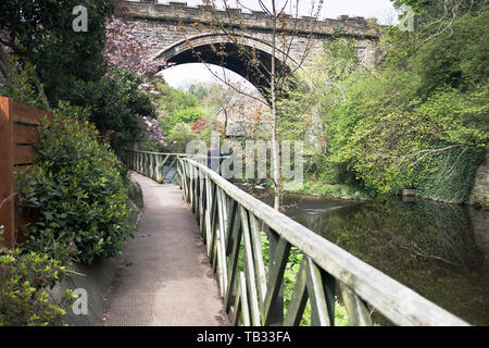 Dh ACQUA DI LEITH Edimburgo percorso Riverside persona guardando il fiume marciapiede Foto Stock