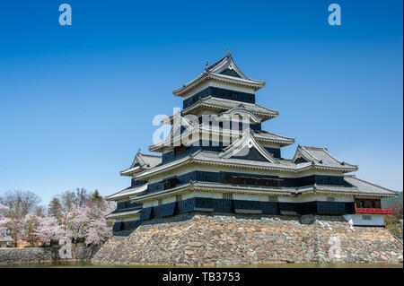 Il Castello Matsumoto, fioriture primaverili e cielo blu chiaro sfondo Foto Stock